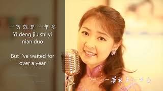 你怎么说 Ni zen me shuo,, singer  陳佳 Chen Jia, with Pinyin and English sub title