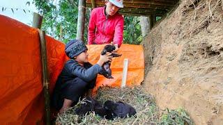 The joy of a poor boy - Welcome adorable puppies.