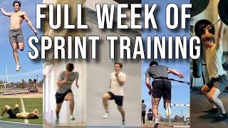 Full Spring Sprint Training Week | D1 Track & Field