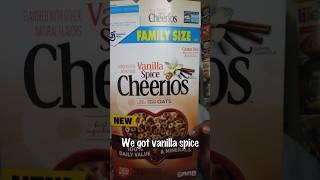 Vanilla Spice Cheerios REVIEW | Super Cereal Sunday