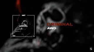 AWO - Criminal