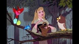 La Bella Durmiente 1959 Pelicula En Español Latino   El Mejores momentos La Bella Durmiente