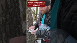 Березовый сок без хлопот - держите крутой #лайфхак от беларусского врача #сок #берёзовыйсок #весна
