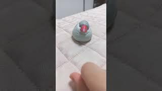 잠깐마뇽#떡상기원#우리 소다#