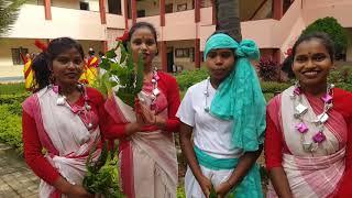 Karam Dance by tribal girls