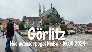 Hochwasser in Görlitz - So sieht der Neißepegel bei Alarmstufe 3 aus #ostsachsen