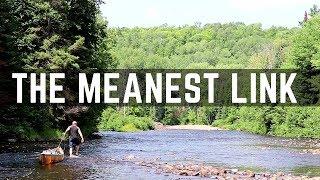 Algonquin Park's Meanest Link - PART 1: The Big East