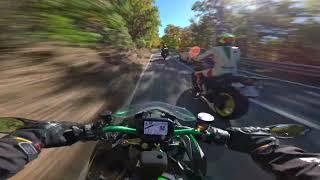 Kawasaki Z H2 SE - Ride it like you stole it! Chasing a fast ZZR1400 (Raw Video-Only engine sound)