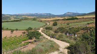 Fresco Tours, 15 Year Anniversary of Camino de Santiago Walking Tours.