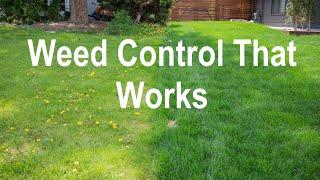 100% Organic Weed Killer for Lawns - One Earth Weed Control - Kills Dandelions FAST