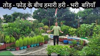 Green Garden Overview ||  Hamari Bagiya Overview in August 2024