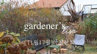 11월 17일 만추의 정원 투어 / Late garden tour with me!