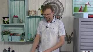 Как сохранить полезные свойства овощей и фруктов на всю зиму?