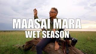 The Maasai Mara in the Rainy Season - Safari Tips