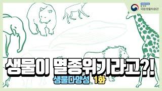 1화 생물다양성은 생명이다! 코로나19와 대멸종