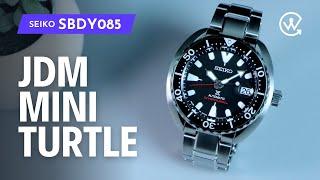 Seiko SBDY085 | The Best Turtle For A Slender Wrist