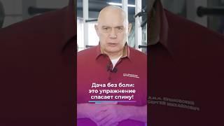 Дача без боли: это упражнение спасет спину! #shorts #бубновский #упражнения