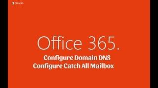 Office 365 - Domain DNS Setup and Catch All Configure