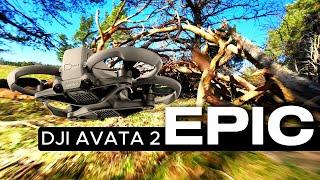 EPIC DJI Avata 2 FPV Forest Adventure | 4K Full Sensor [4:3 Footage]