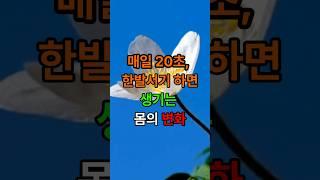 매일 20초 한발서기 하면 생기는 몸의 변화 #삶의지혜 #인생조언 #좋은글