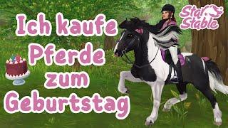 Ich kaufe 14 Pferde zu meinem 20. Geburtstag | SSO | XXL Pferdekauf