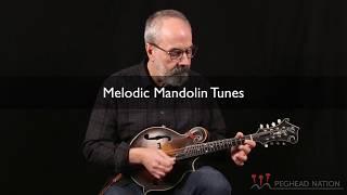 Peghead Nation Mandolin Courses