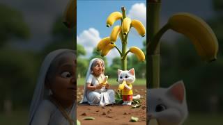 "The Monkey Destroyed Their Banana Tree  | Grandma & Kitten's Sad Story"#EmotionalStory