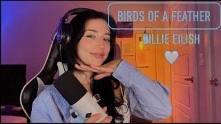 birds of a feather - billie eilish (cover )