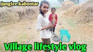 जंगली कबूतर village lifestyle vlog indian || gk vlog up45 || #gkvlogup45