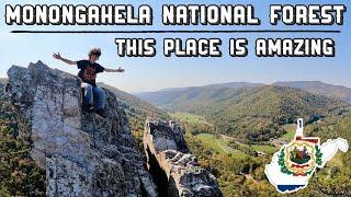 Exploring the BEST National Forest in the Eastern U.S. - Monongahela NF | West Virginia, USA (2024)