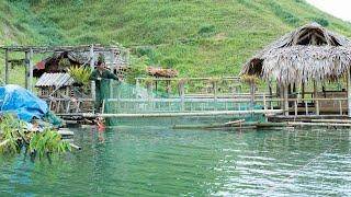 Making Fish Ponds on the River, Fishing and Stocking Fish Ponds: River Survival | EP.472
