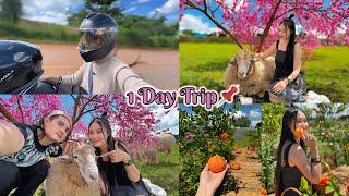 One Day Trip with my BF Beautiful Sheep Farm near Mae Sot so beautiful #EP-237