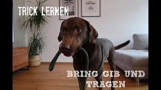 TRICK LERNEN ... BRING, GIB, SACHEN TRAGEN