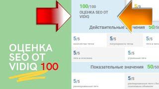 Оценка SEO от VIDIQ - 100 / Ютуб для бизнеса / Менеджер youtube канала