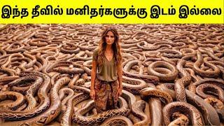 விலங்குகள் ஆக்கிரமித்துக் கொண்ட தீவுகள் | Island That Ruled By Animals | Tamil Amazing Facts | Snake