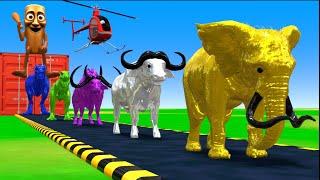 Paint Animal Game With Italian Brainrot Tung Tung Sahur, Mammotha, Elephents  3d Funny Animal Game