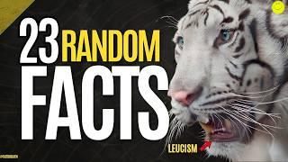 23 Mind-Blowing Random Facts You Never Knew!