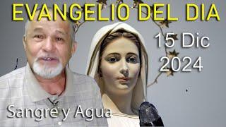 Evangelio Del Dia Hoy - Domingo 15 Diciembre 2024- Sangre y Agua