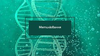 Метилювання - один із найважливіших процесів в організмі. Відео презентація Андрія Примака