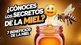 ¿Conoces los SECRETOS de la MIEL?  Descubre 7 BENEFICIOS que te sorprenderán!