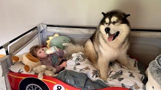 Adorable Baby Boy Bedtime Routine! He Has To Have His Dog! (Cutest Ever!!)