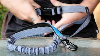 WANFIRE Bungee Dog Leash - Test & Review