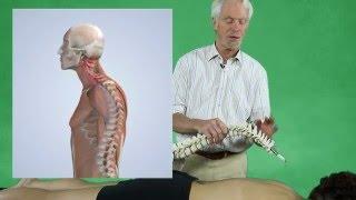 Treating Neck and Dowager Hump Pain