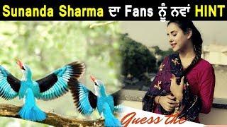 Sunanda Sharma's new Hint to her Fans about New Project | Dainik Savera