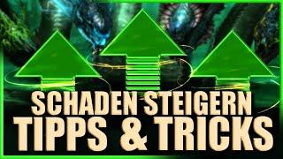 Raid: Shadow Legends | Tipps und Tricks - Schaden steigern - Auf welche Faktoren kommt es an?!