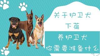 养一只护卫犬你需要准备些什么，关于护卫犬你所需要知道的（下篇）