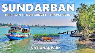 Sundarban Tour Guide, Trip Plan, Tour Budget, Travel Vlog | Sundarbans National Park | Sundarbn Tour