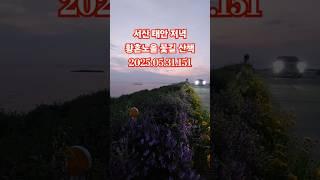 서산 태안 저녁 황혼노을 꽃길 산책 2025.05.31.151 #황혼노을 #저녁노을 #서산 #태안 #산책길 #꽃길
