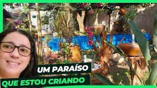 Tour PLANTAS no QUINTAL de CASA | atualização de algumas como estão, comprinhas...