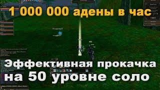 Где фармить 1кк адены в час на 50 уровне? Lineage 2 Classic